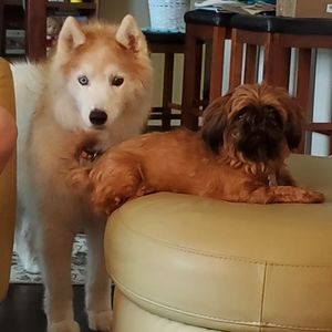 Show Quick  List 100